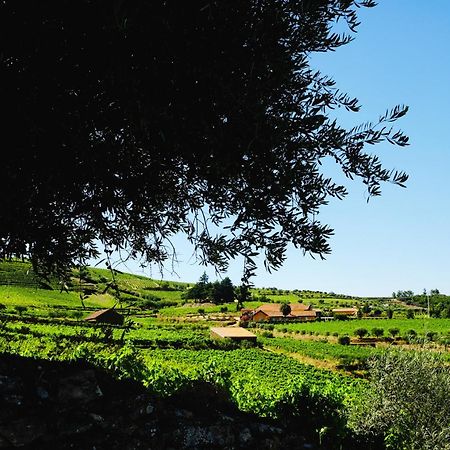 Quinta Do Monte Travesso - Country Houses & Winery Tabuaço Exterior foto