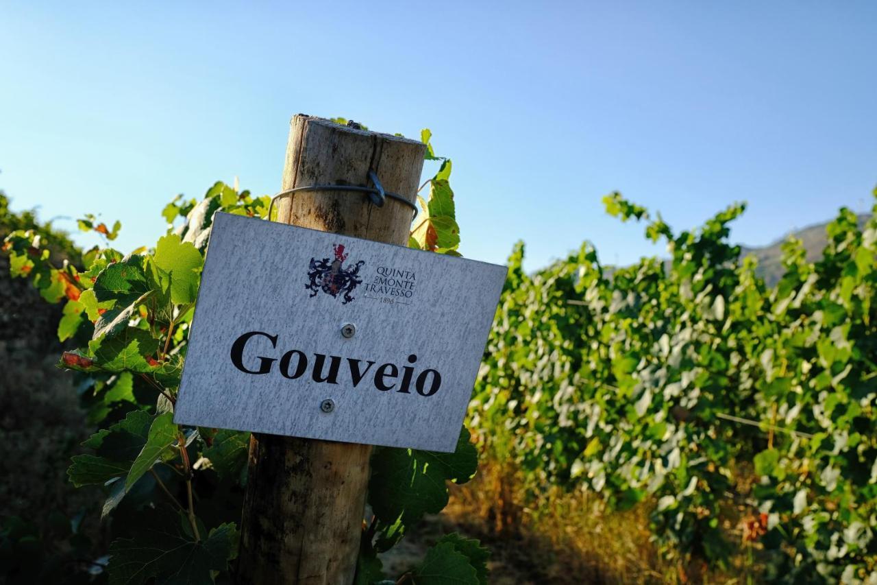 Quinta Do Monte Travesso - Country Houses & Winery Tabuaço Exterior foto
