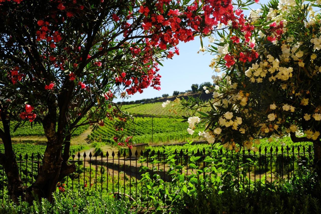 Quinta Do Monte Travesso - Country Houses & Winery Tabuaço Exterior foto